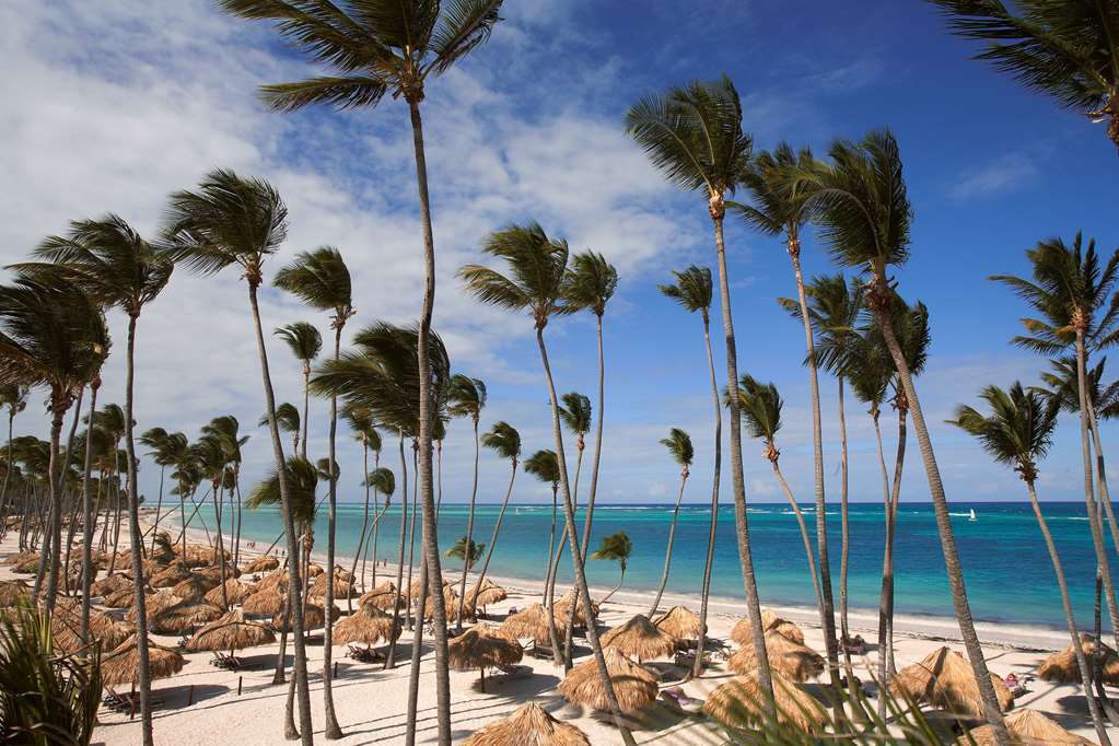 Royal Service At Paradisus Palma Real (Adults Only) Punta Cana Natur foto
